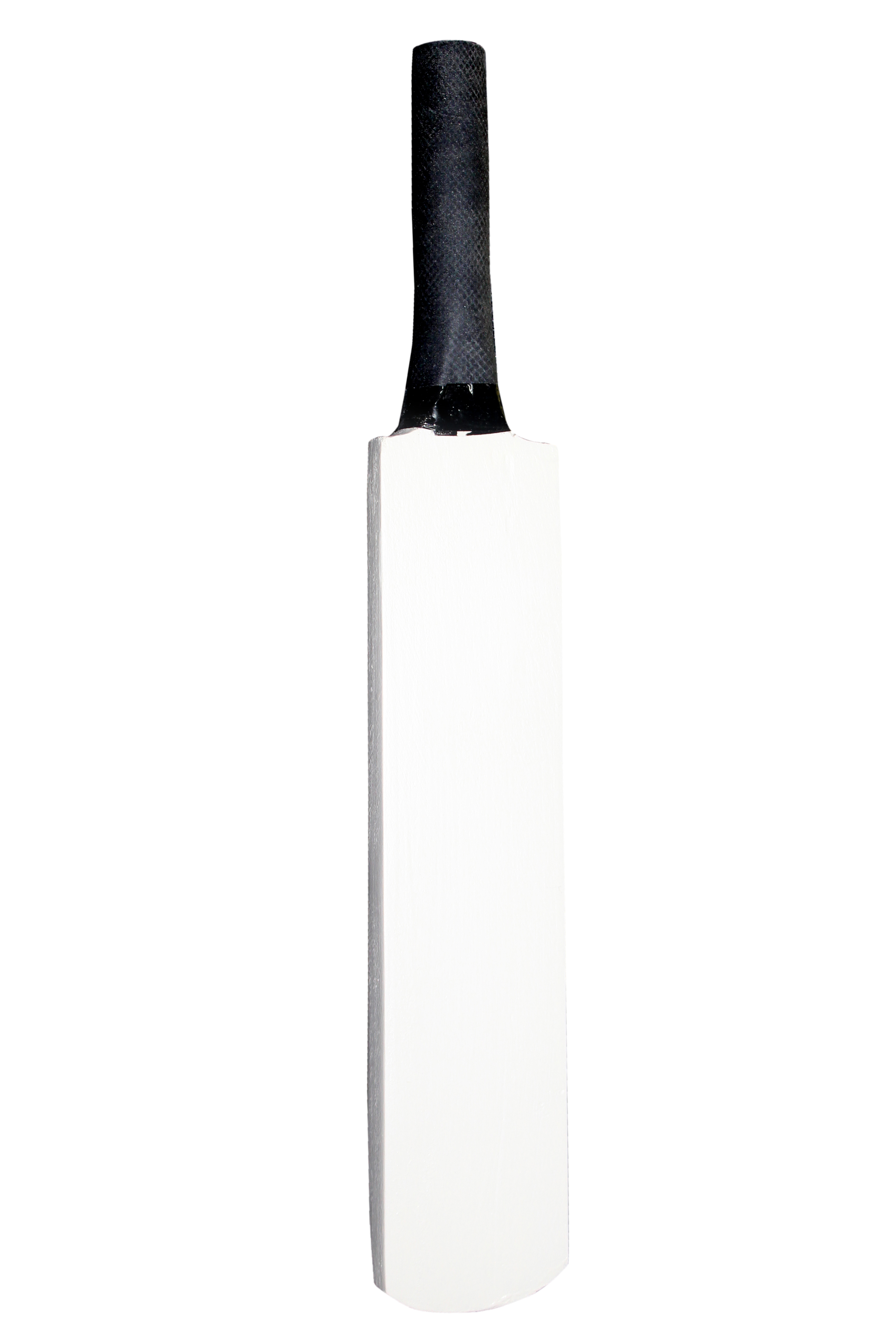 Miniature Cricket Bat